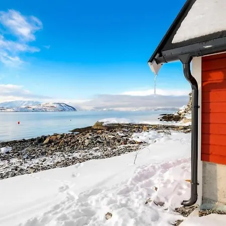 Paradis I * Kviby